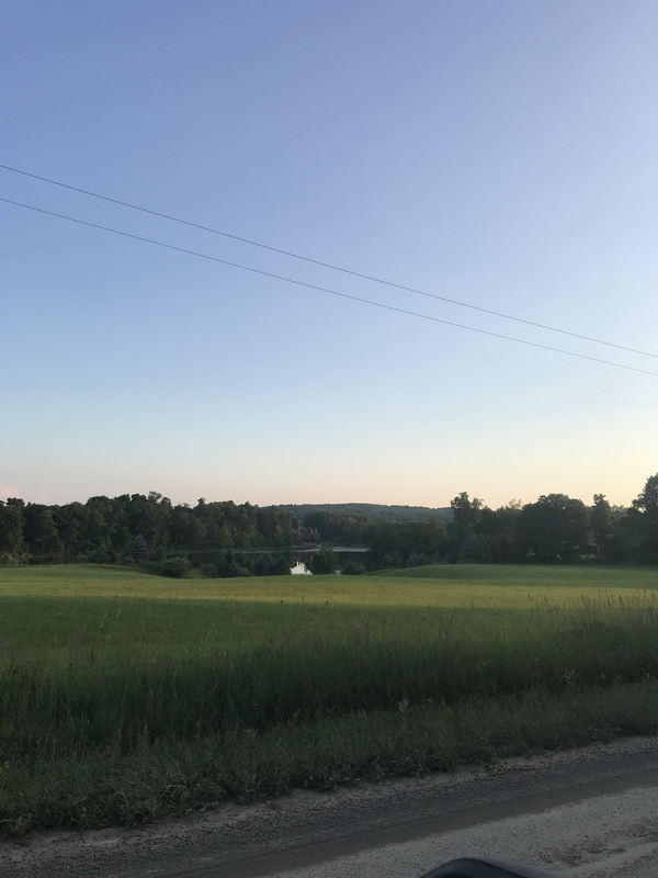 Metamora - July 2020 (newer photo)